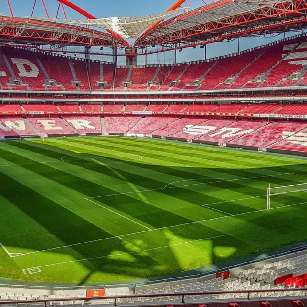 Visita guiada ao Estádio e Museu do Benfica