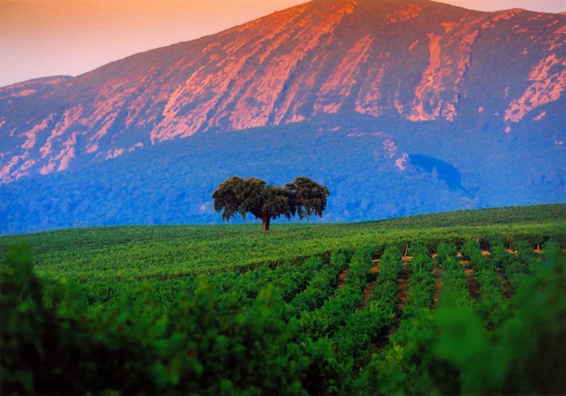 Excursão Arrábida Tour